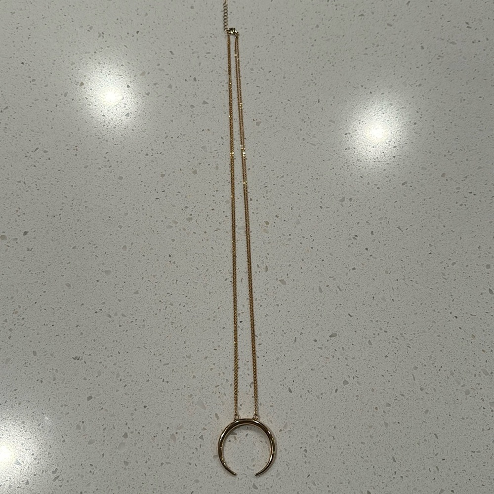 Horn Pendant Necklace